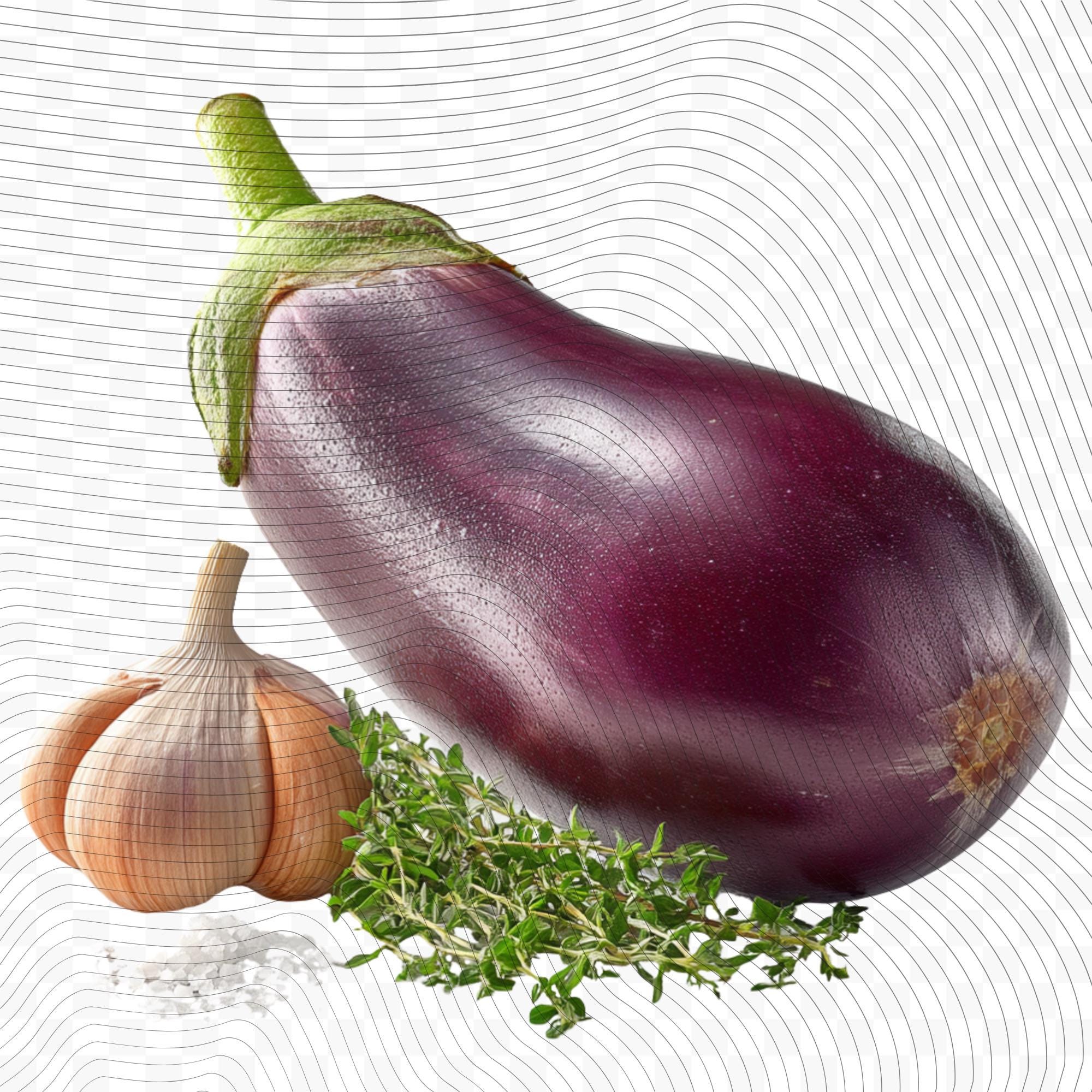 27 Realistic Eggplant Clipart Bundle| PNG Transparent Background