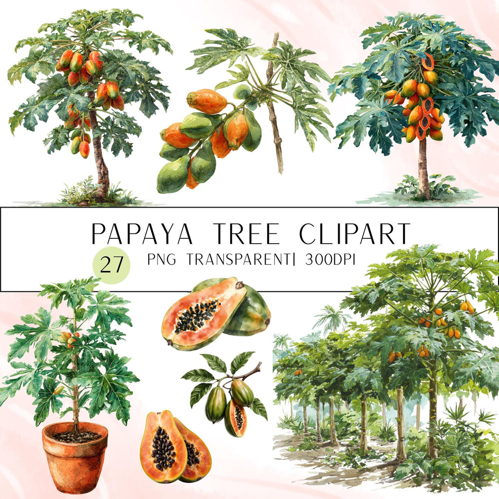 27 Papaya Tree Clipart Bundle | Watercolor Tropical Fruit Tree Transparent PNG