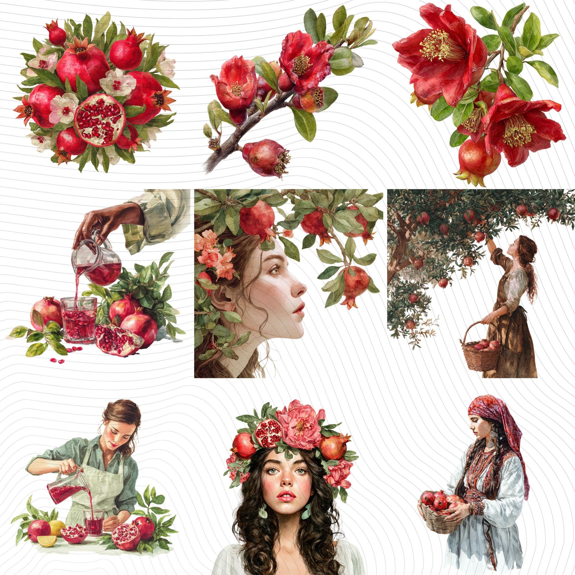 25 Pomegranate Watercolor Clipart Bundle| Realistic Botanical PNG Transparent Background