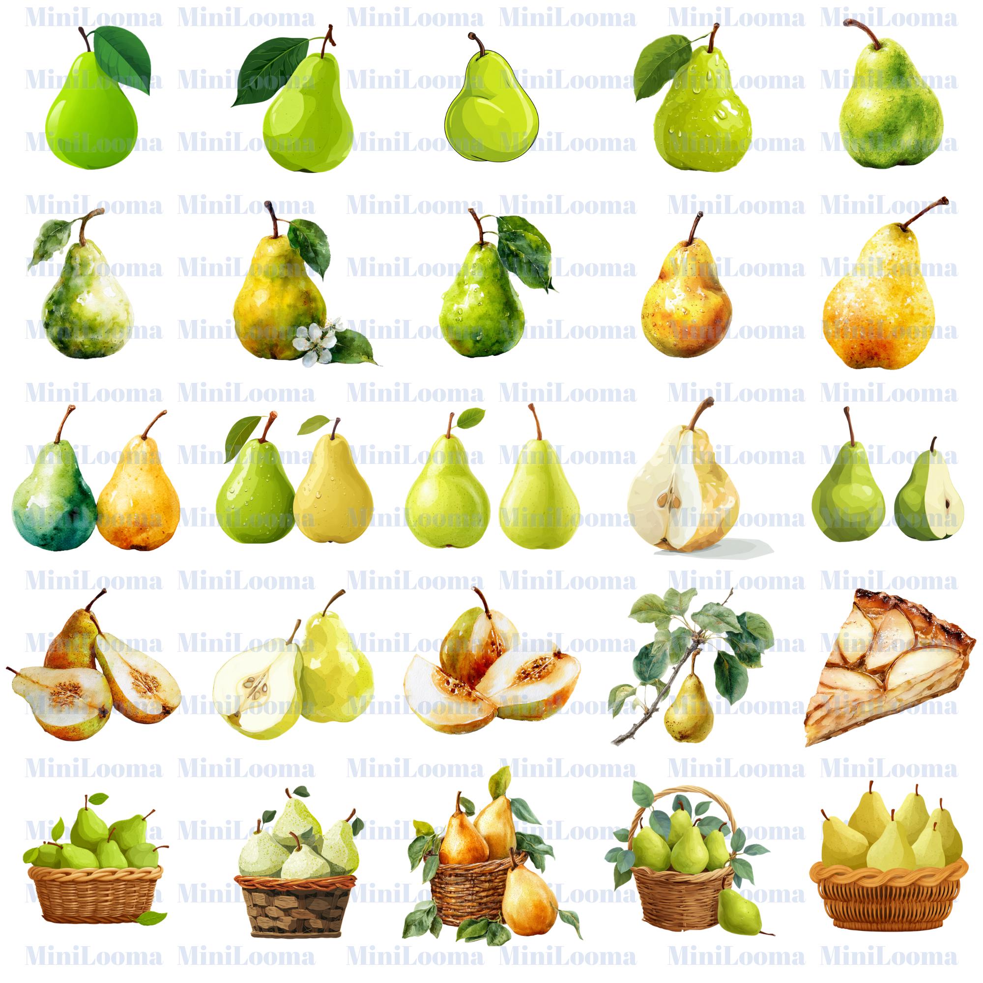 30 Watercolor Pear Clipart Bundle: Botanical Fruit Art (Transparent PNG )