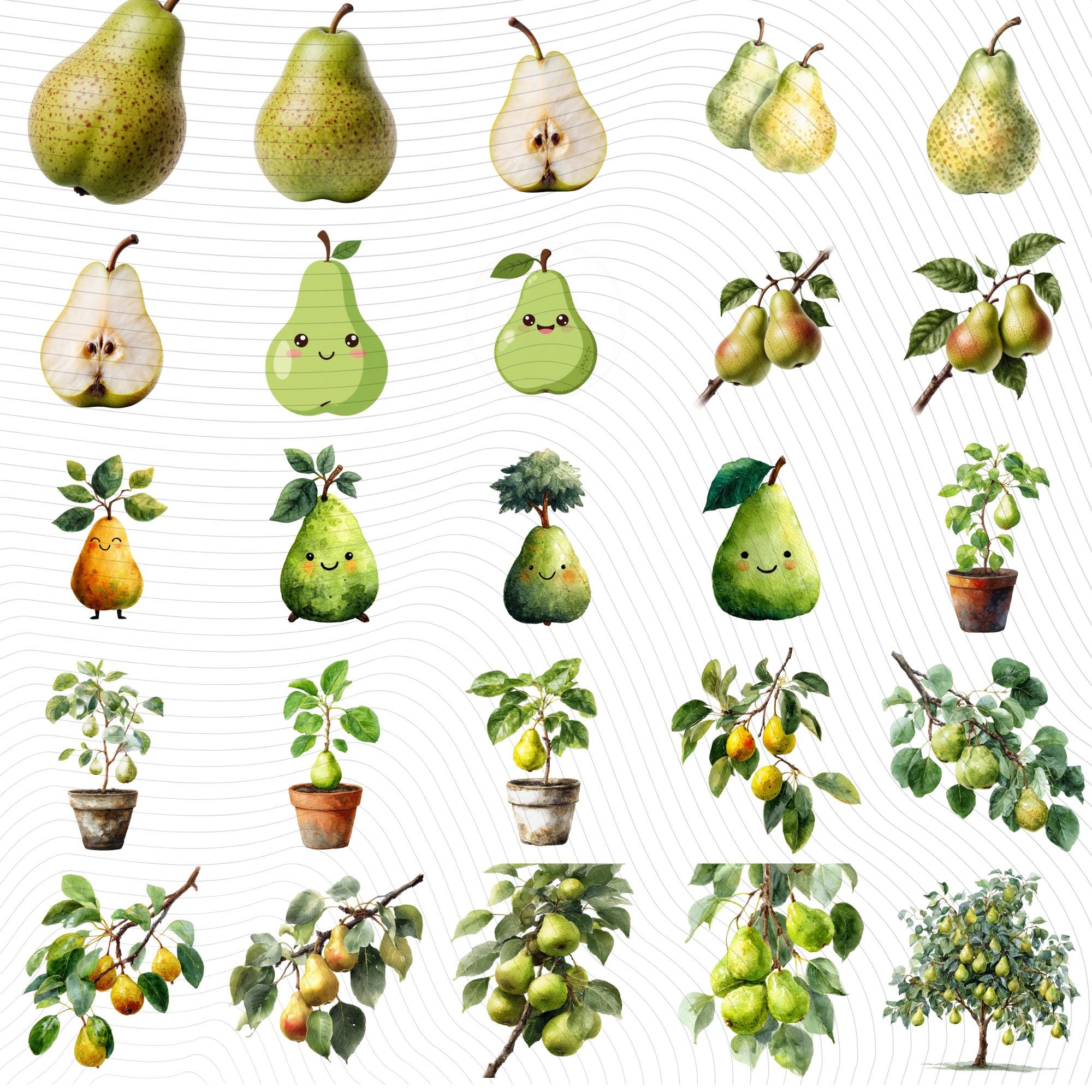 30 Watercolor Pear Tree Clipart Bundle: Transparent PNG (Digital Download)