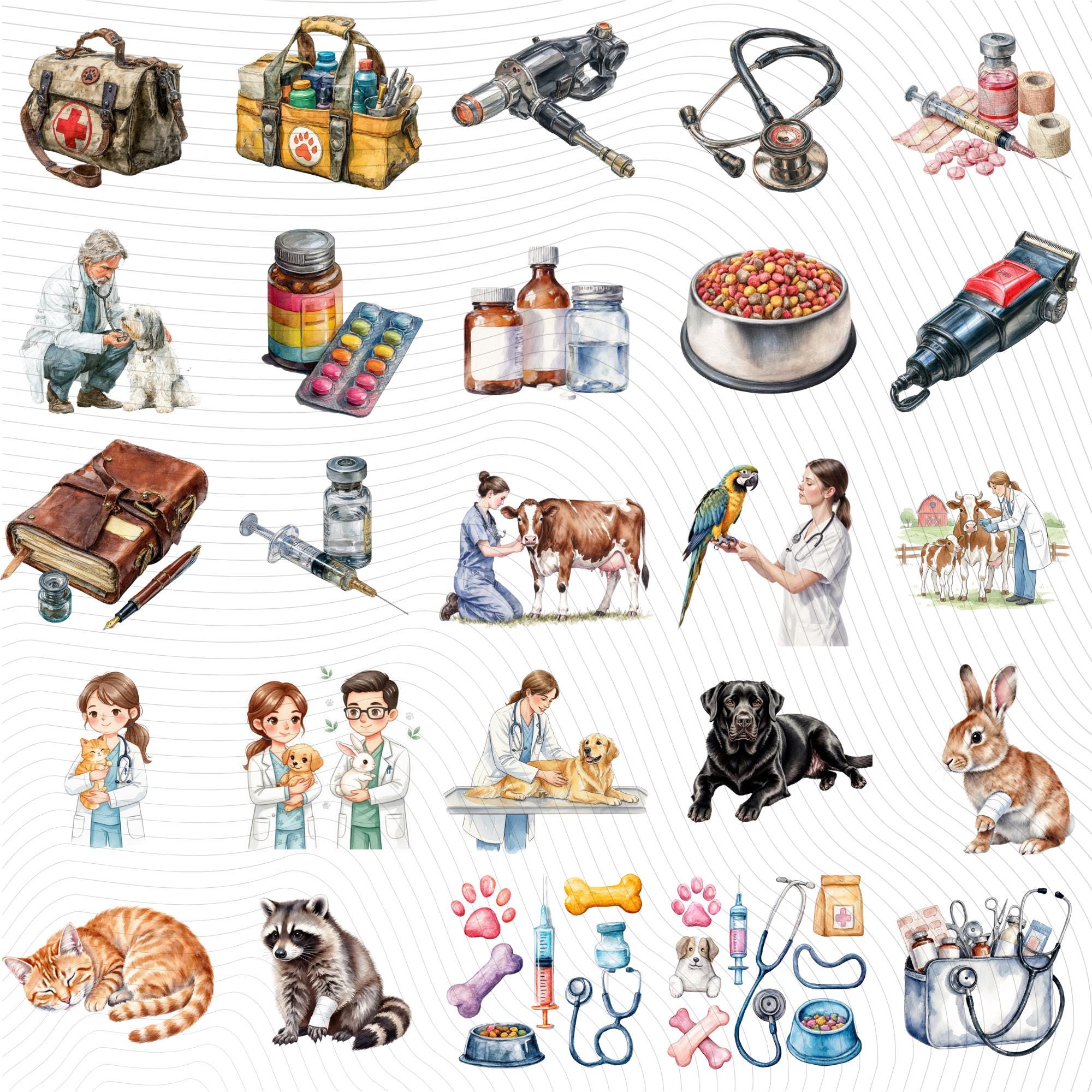 55 Veterinary Tools Clipart|PNG Set, Transparent Background