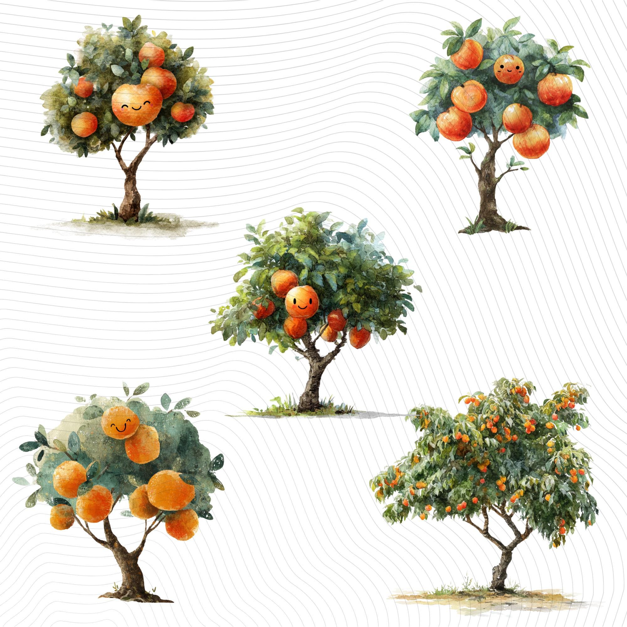 30 Apricot Tree Clipart Bundle | Watercolor, Realistic & Kawaii Peach Illustrations | Botanical Transparent PNG