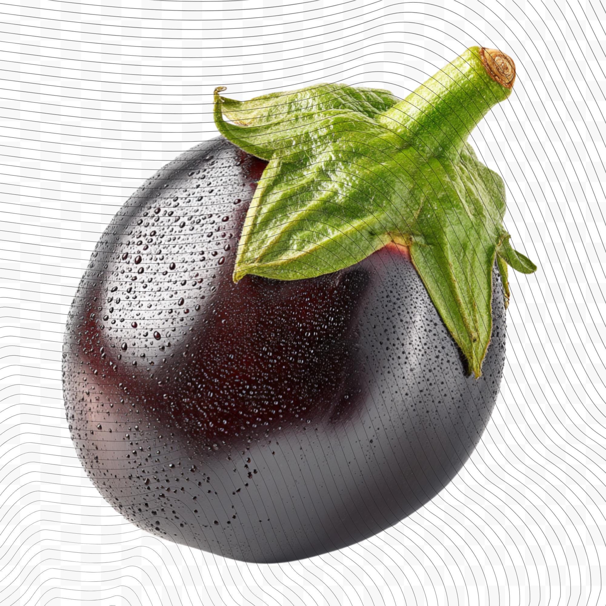 27 Realistic Eggplant Clipart Bundle| PNG Transparent Background