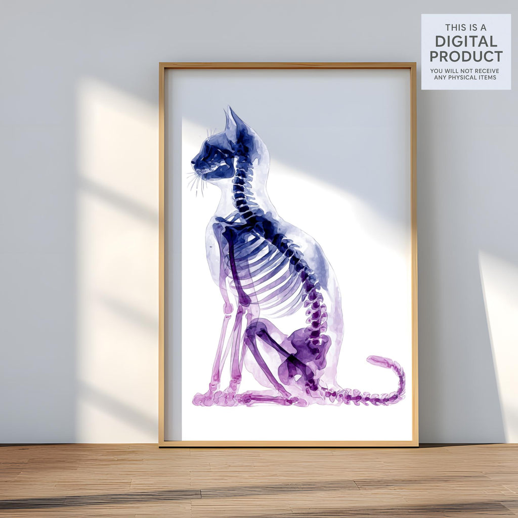 55 Veterinary Tools Clipart|PNG Set, Transparent Background