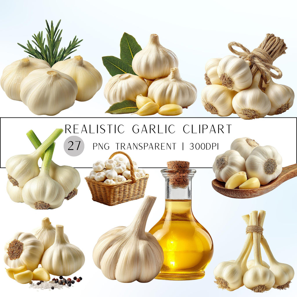27 Realistic Garlic Bundle | PNG Transparent Background