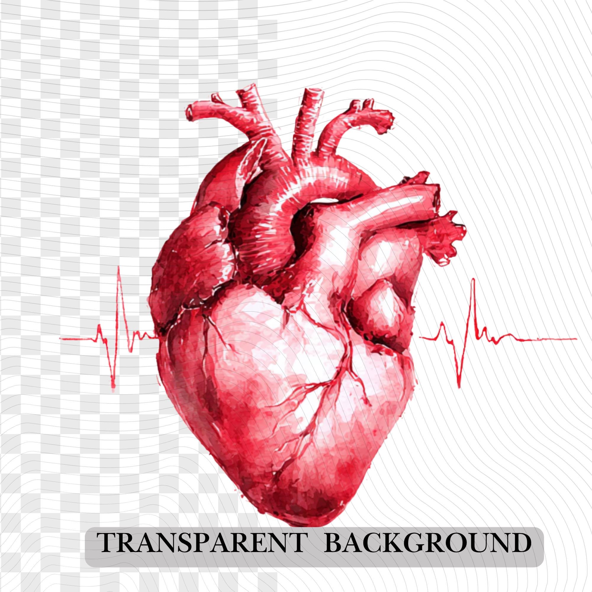 56 Doctor Profession Watercolor Clipart Set | Realistic Medical PNG | Transparent Background