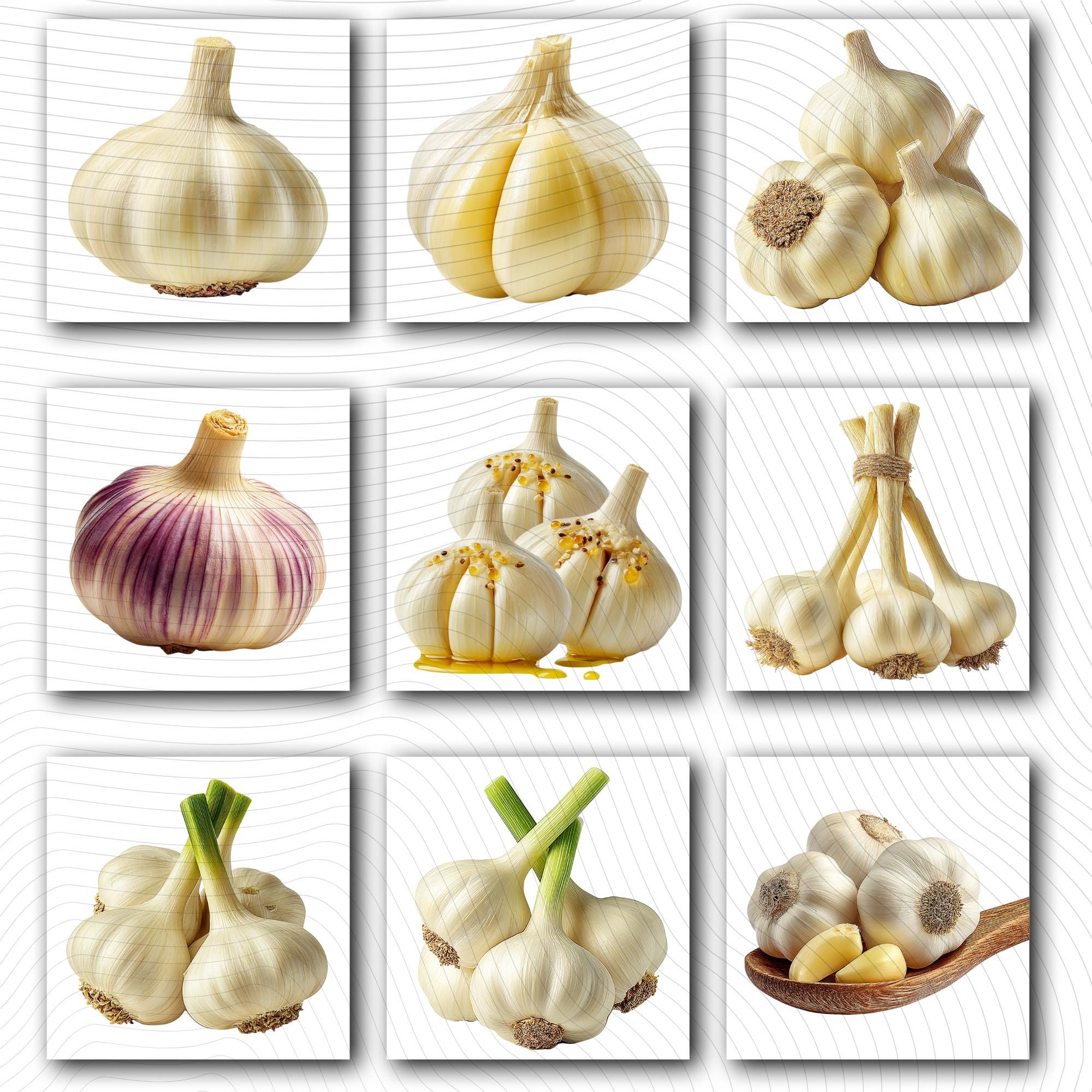 27 Realistic Garlic Bundle | PNG Transparent Background