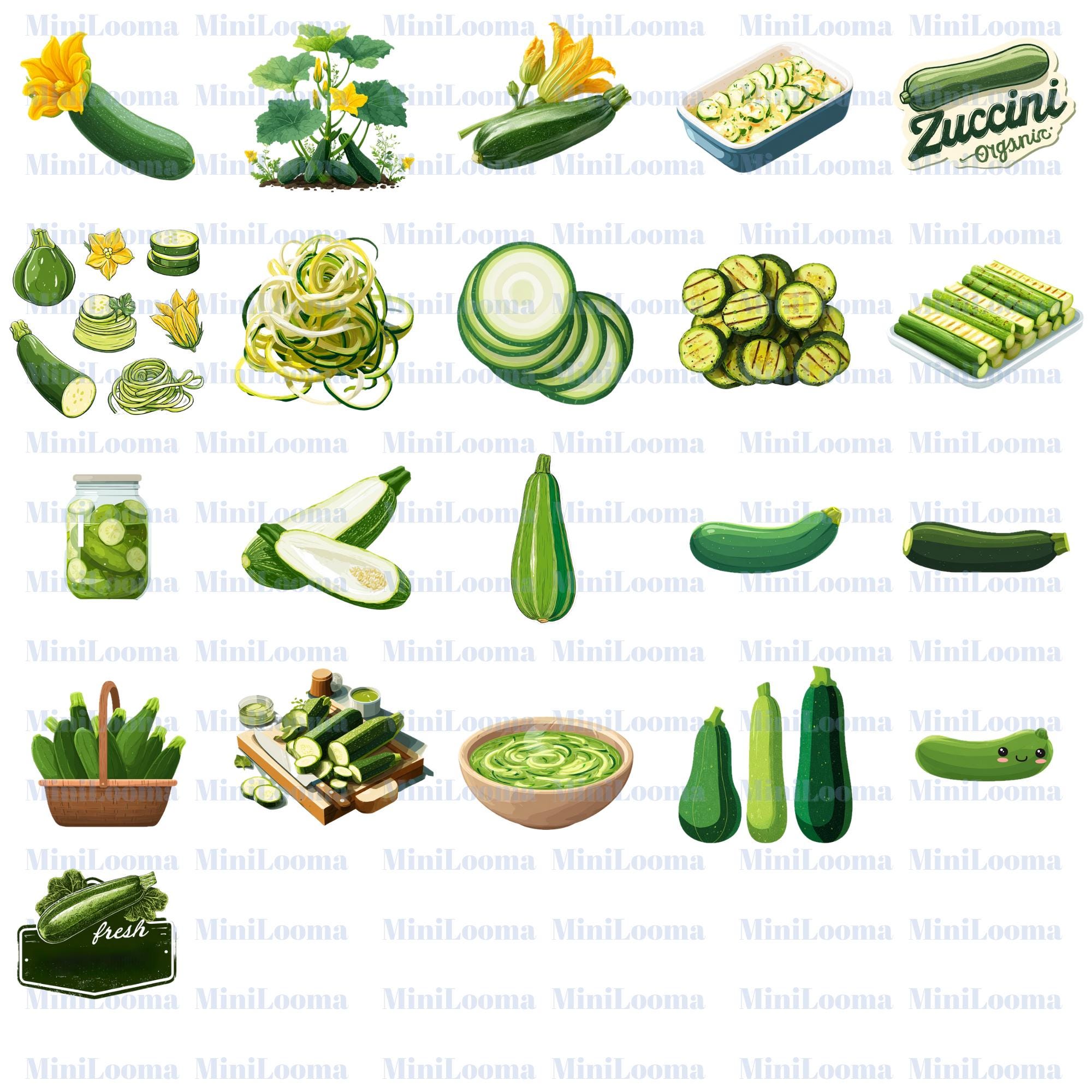20 Zucchini Clipart Bundle: Vector Graphics, Zoodles, Squash (PNG Transparent, PDF Downloadable Files Included)