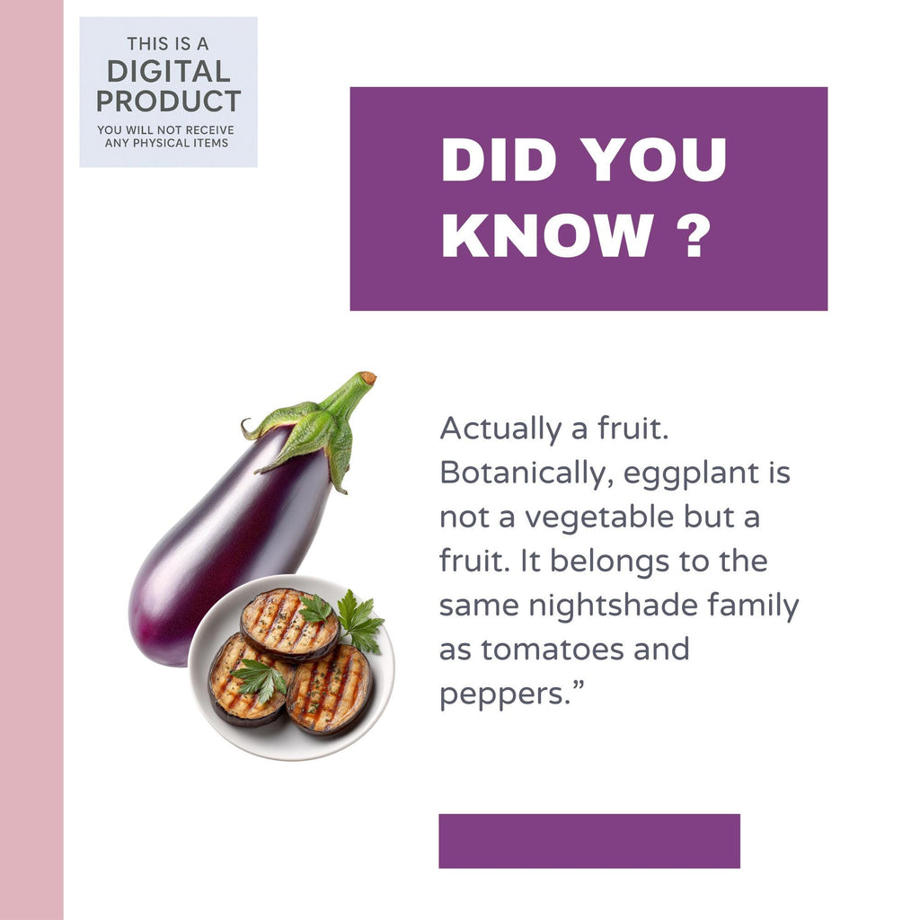 27 Realistic Eggplant Clipart Bundle| PNG Transparent Background