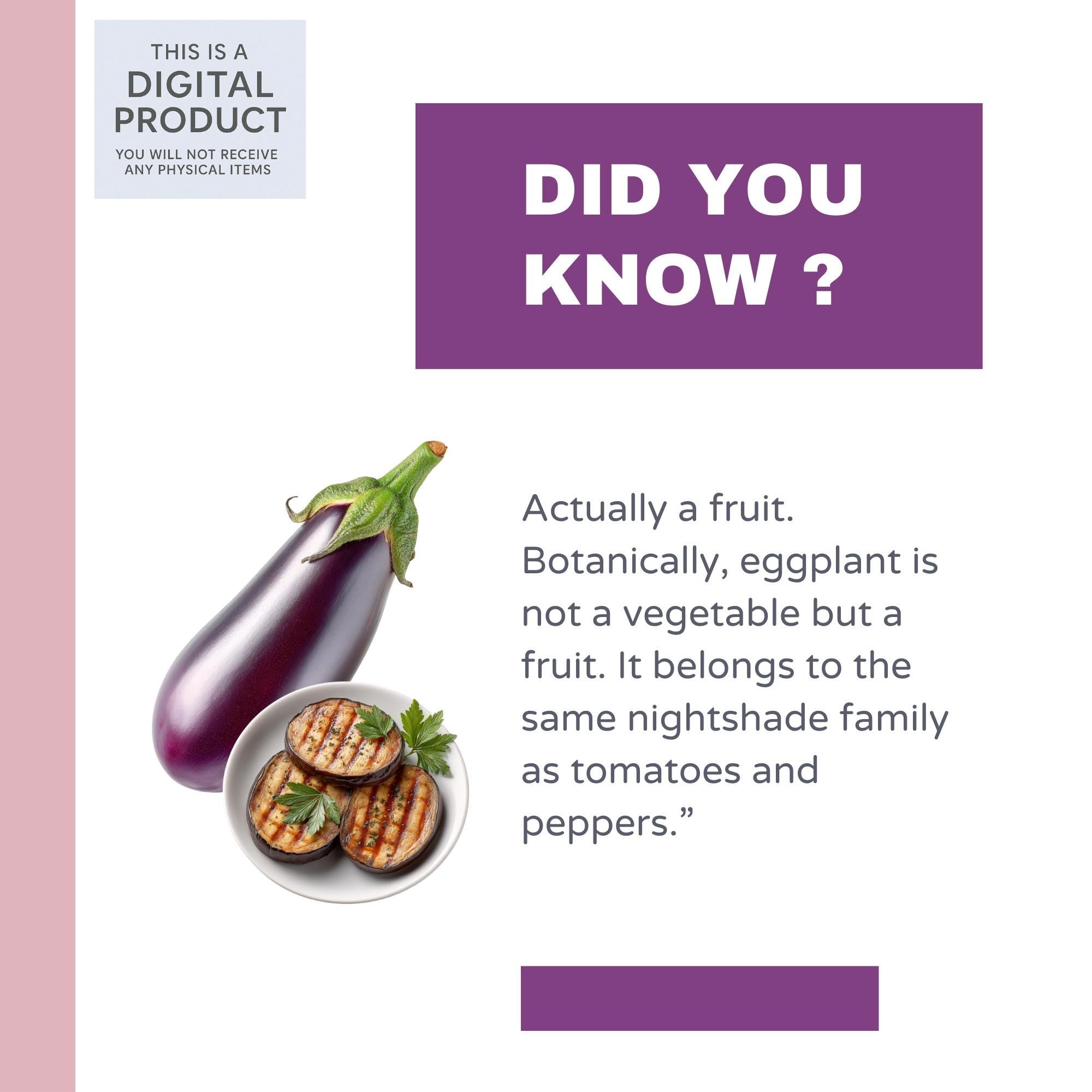 27 Realistic Eggplant Clipart Bundle| PNG Transparent Background