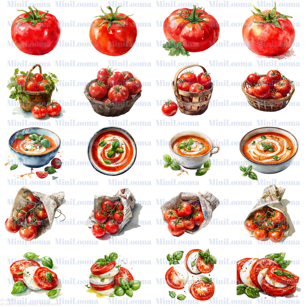 122 Watercolor Tomato Clipart Bundle: Kitchen Art, Recipe Illustration (Transparent PNG)