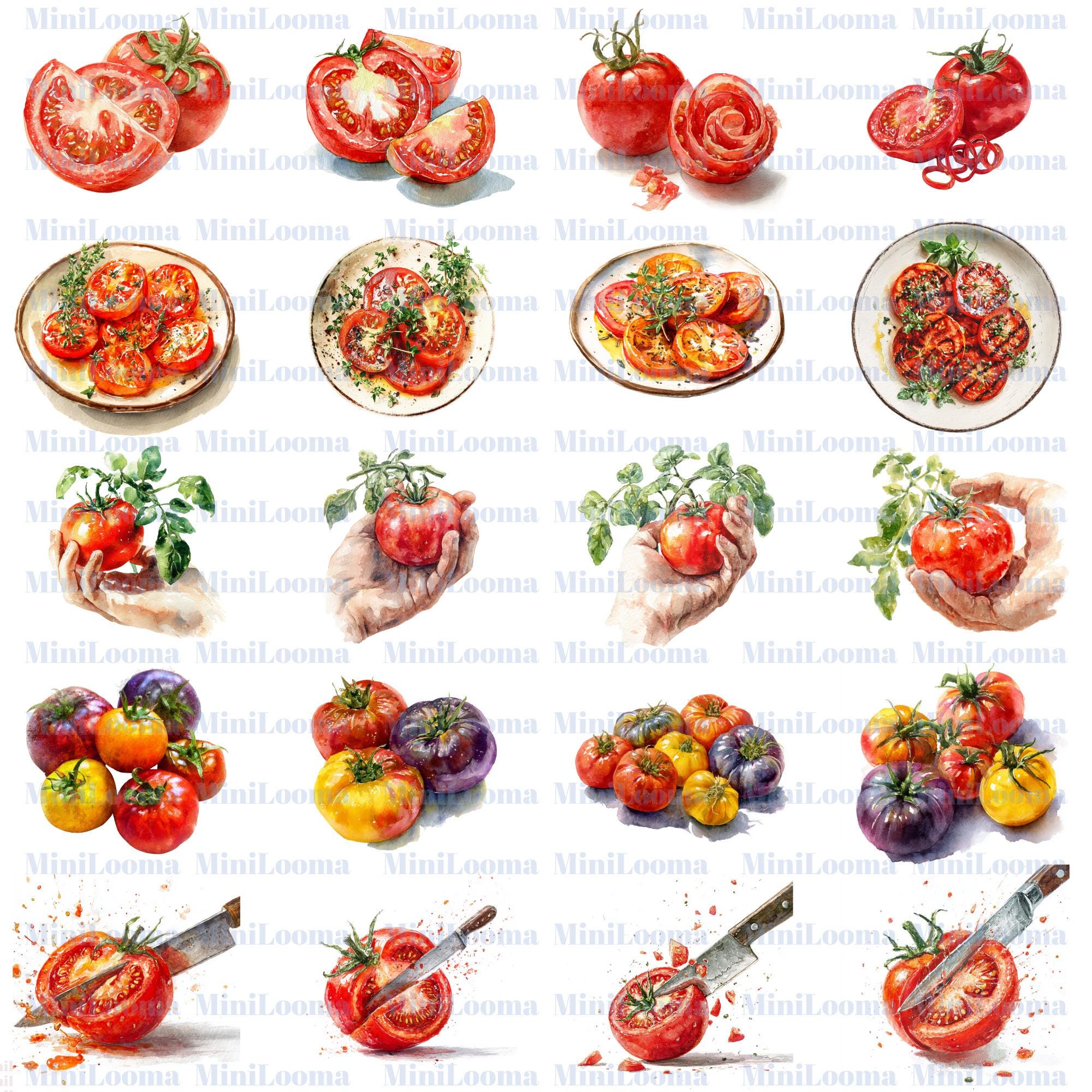 122 Watercolor Tomato Clipart Bundle: Kitchen Art, Recipe Illustration (Transparent PNG)