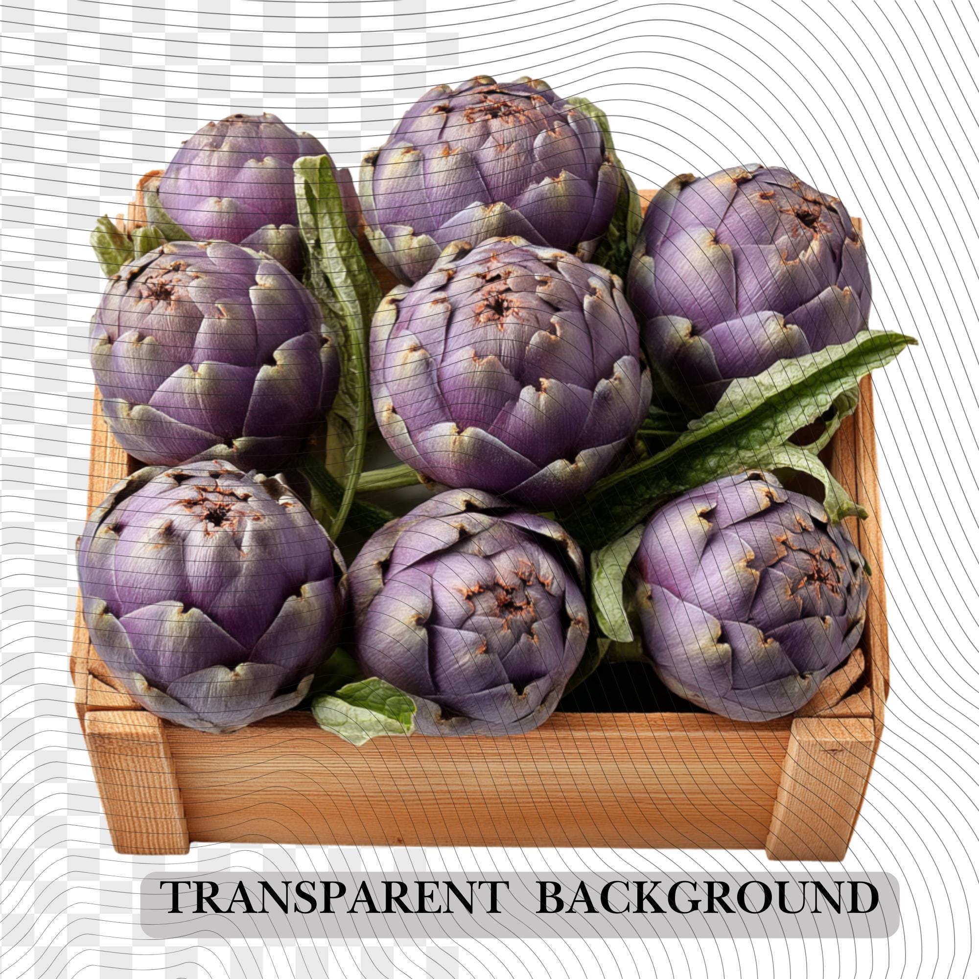 27 Realistic Artichoke Clipart Bundle| PNG Transparent Background