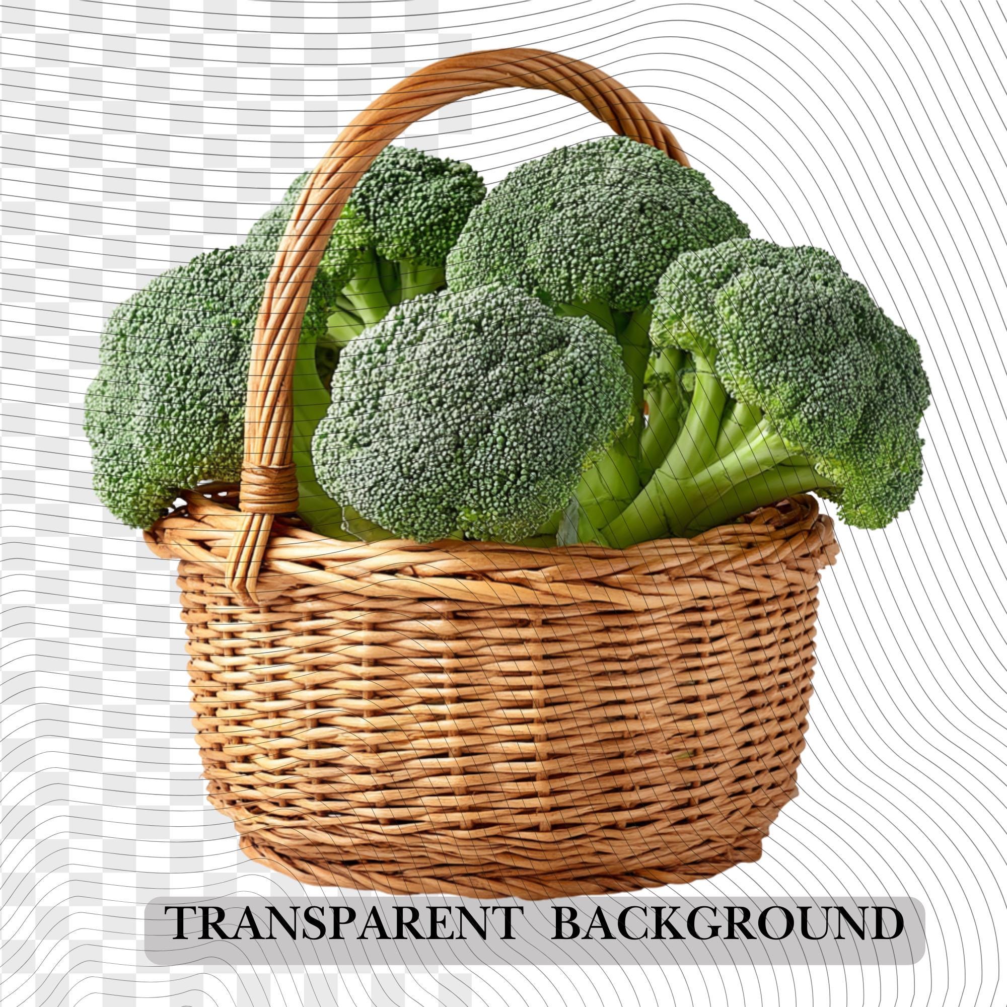 28 Realistic Broccoli Clipart Bundle| PNG Transparent Background