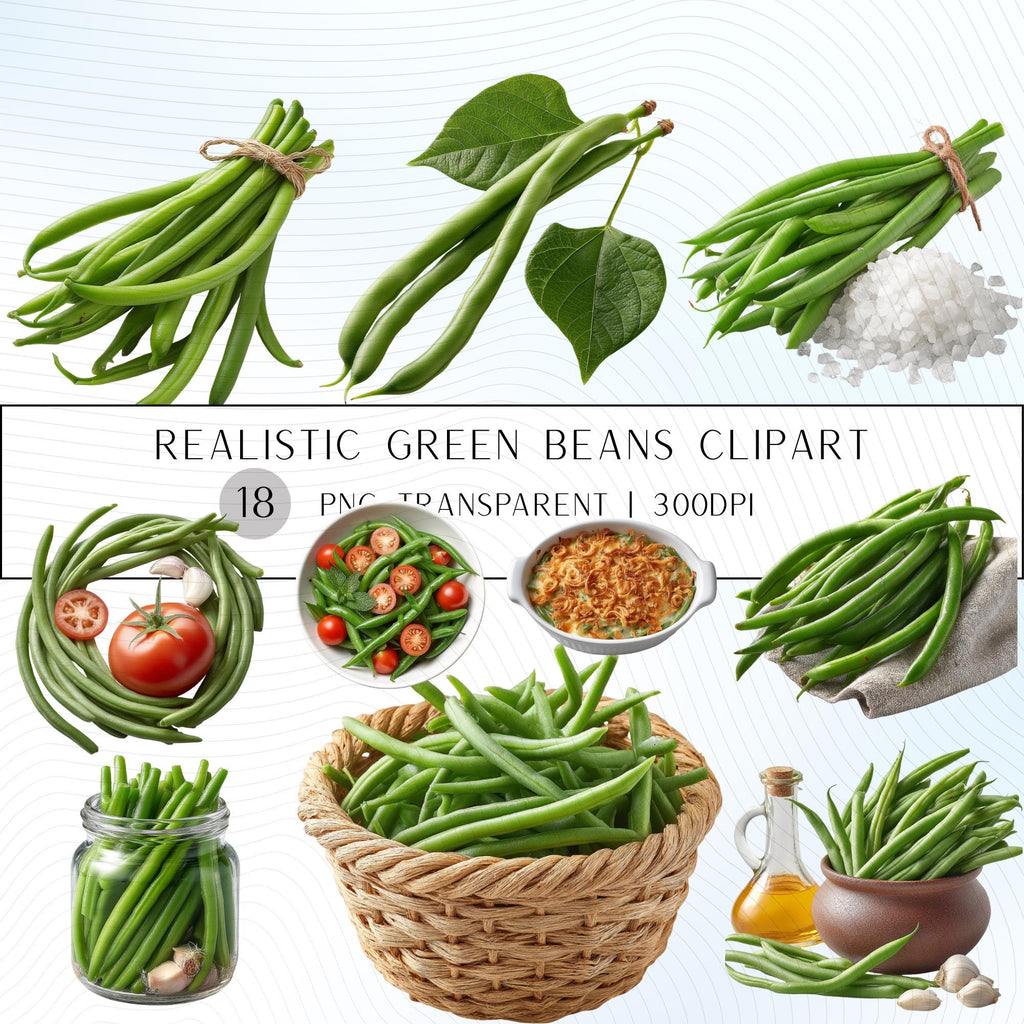 18 Realistic Green Beans Clipart Bundle| PNG Transparent Background