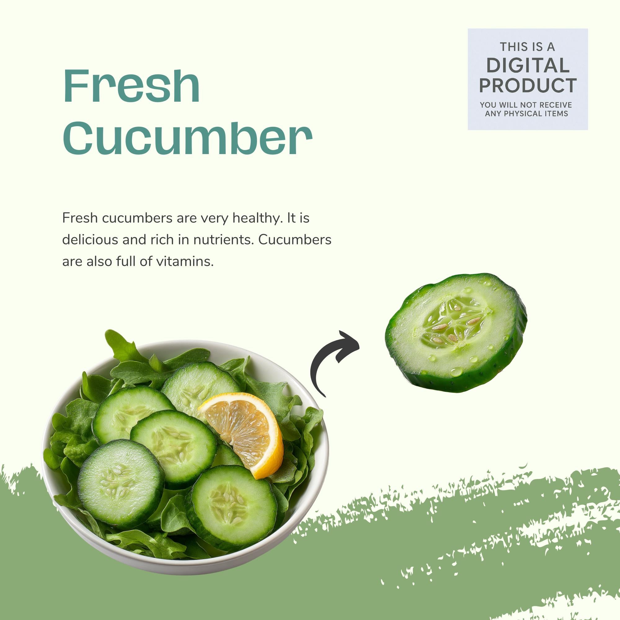 27 Realistic Cucumber Clipart Bundle| PNG Transparent Background