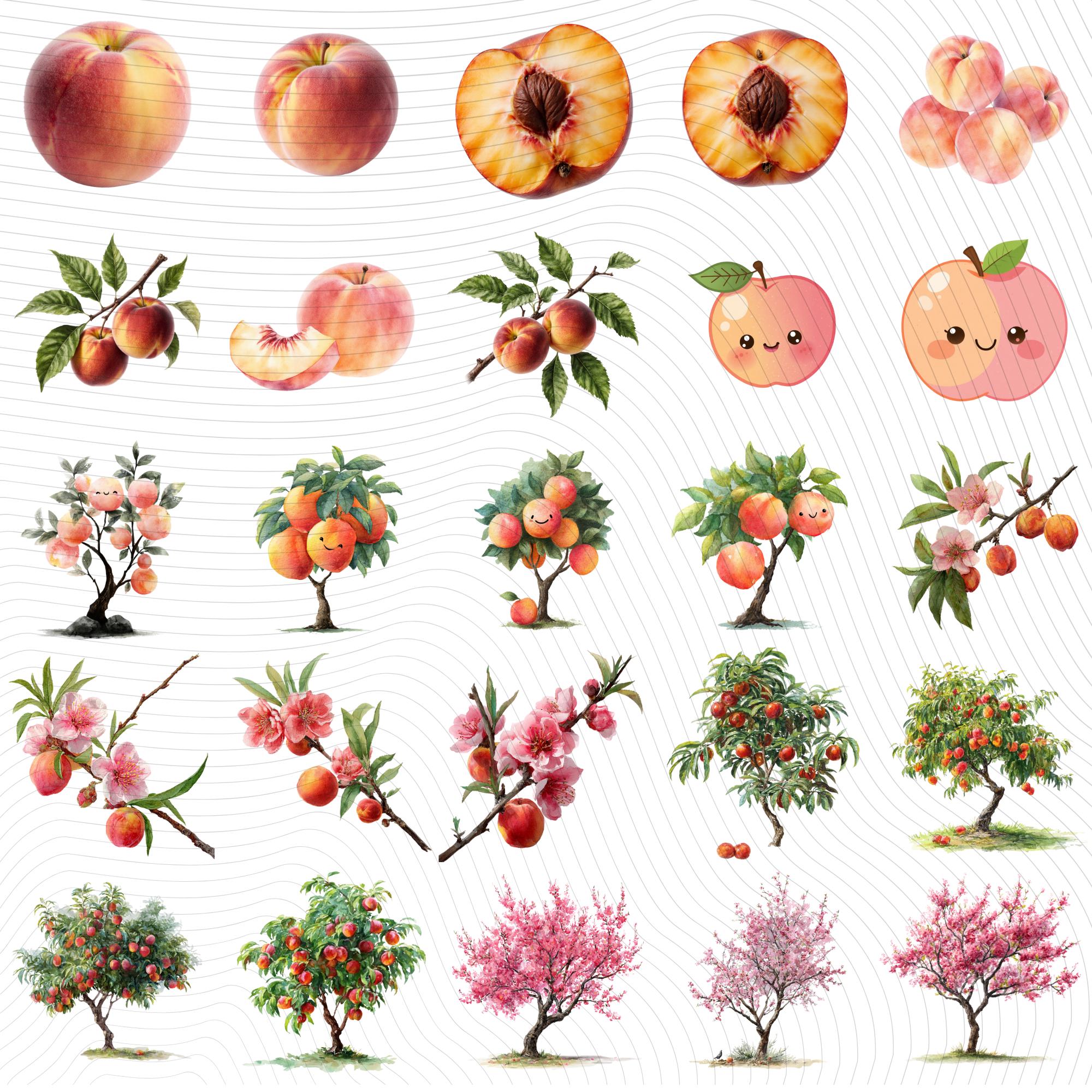 30 Watercolor Peach Tree Clipart Bundle: Transparent PNG (Digital Download)