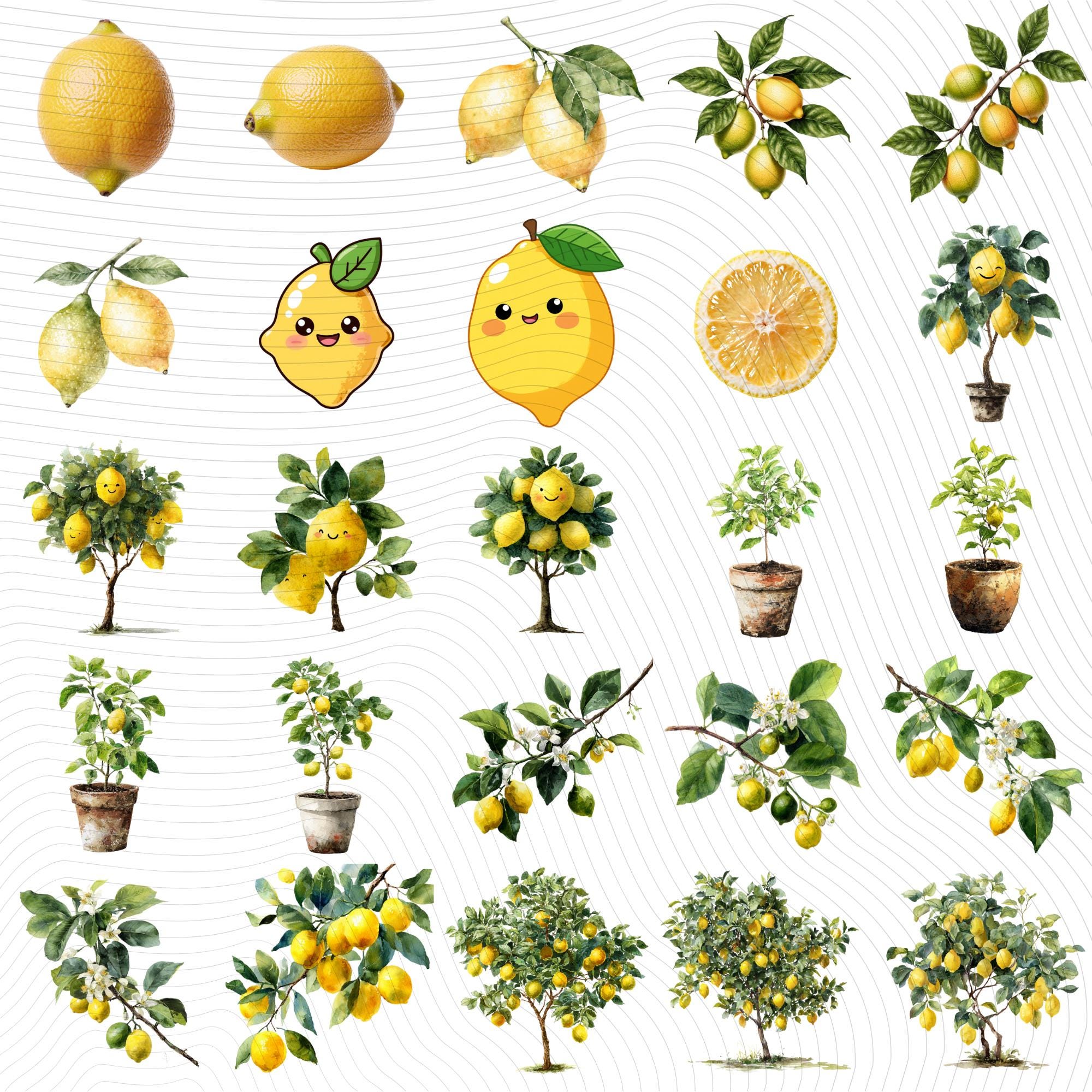 29 Lemon Tree Clipart Bundle: Citrus PNG Graphics (Digital Download)