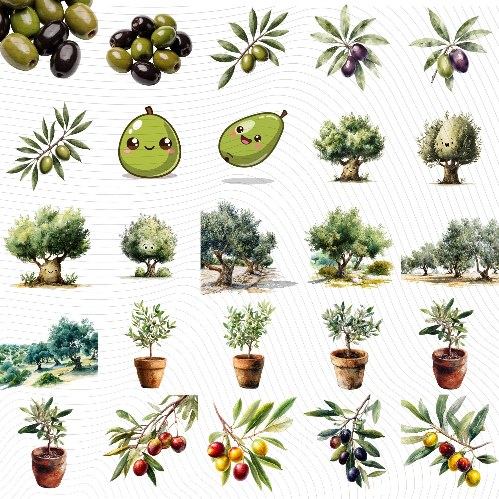 28 Olive Tree Clipart Bundle | Tropical Citrus Tree Transparent PNG
