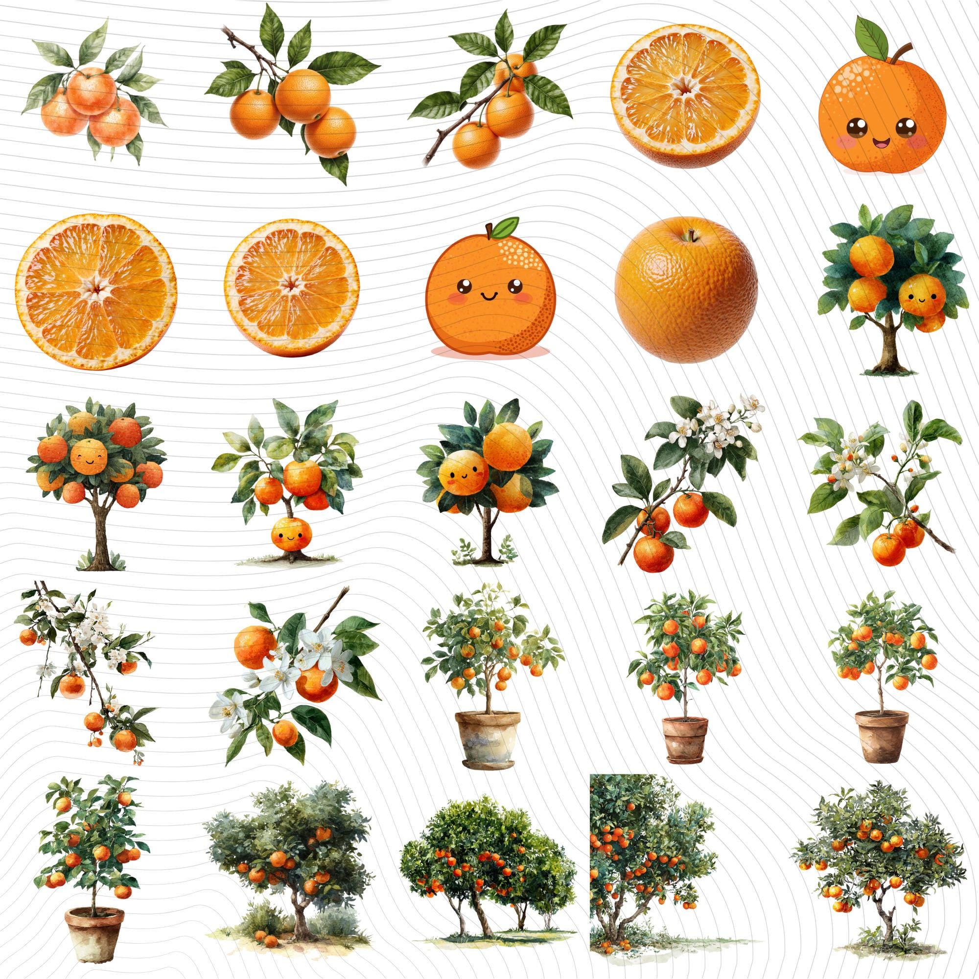 29 Orange Tree Clipart Bundle | Citrus Fruit Tree Transparent PNG