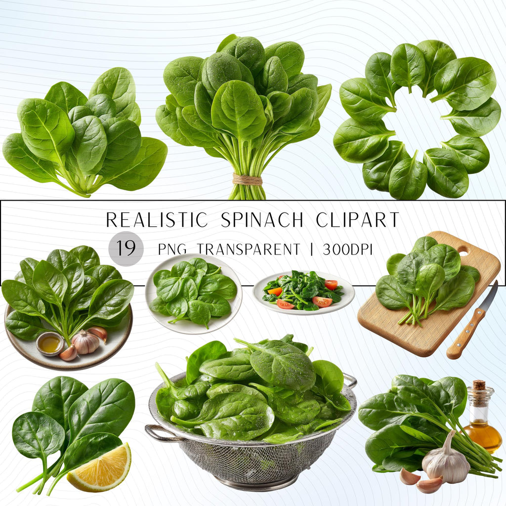 19 Realistic Spinach Clipart Bundle| PNG Transparent Background