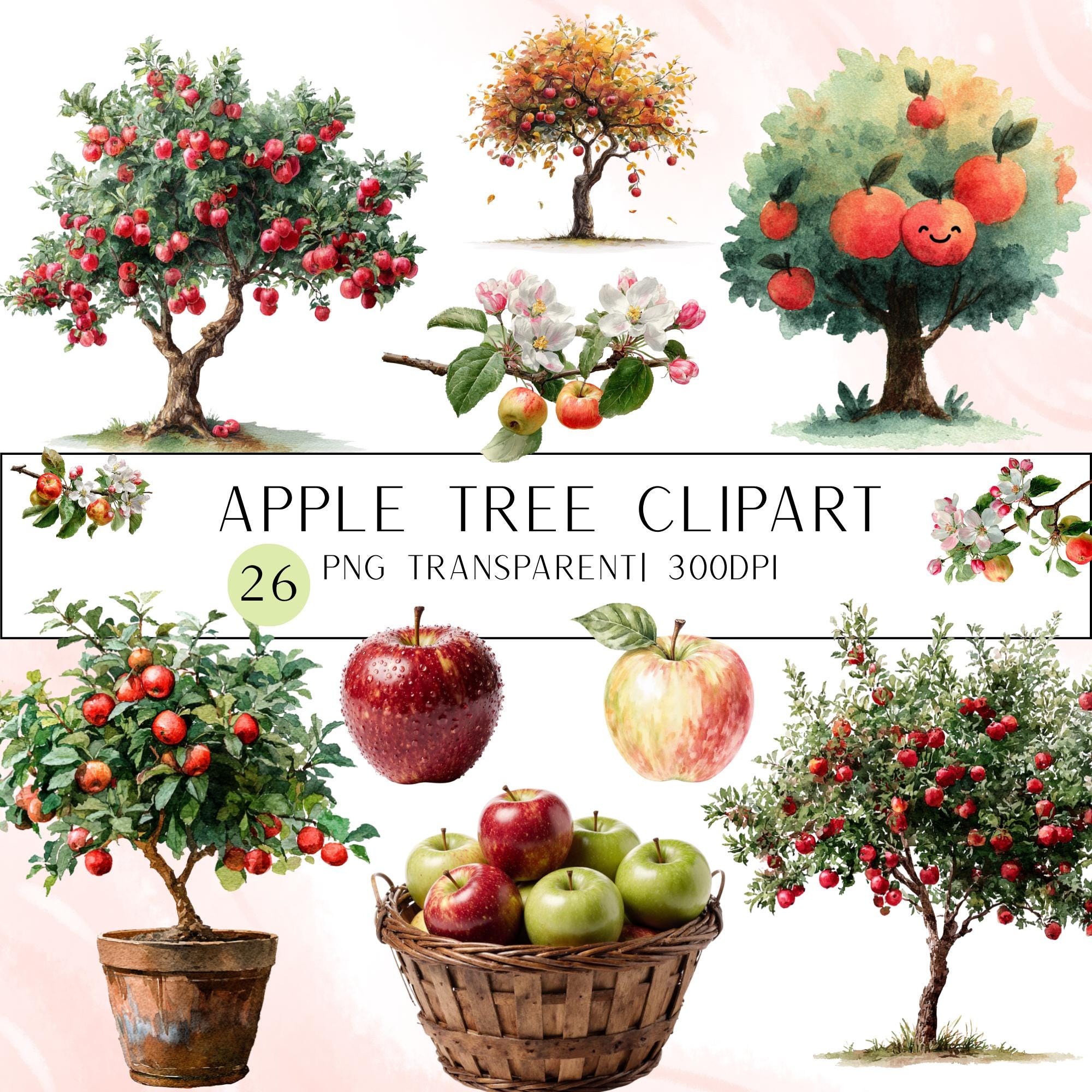 26 Apple Tree Clipart | Watercolor & Realistic Apple Illustrations| Botanical Fruit| Transparent PNG