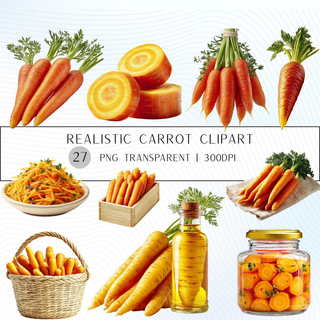 27 Realistic Carrot Clipart Bundle | PNG Transparent Background