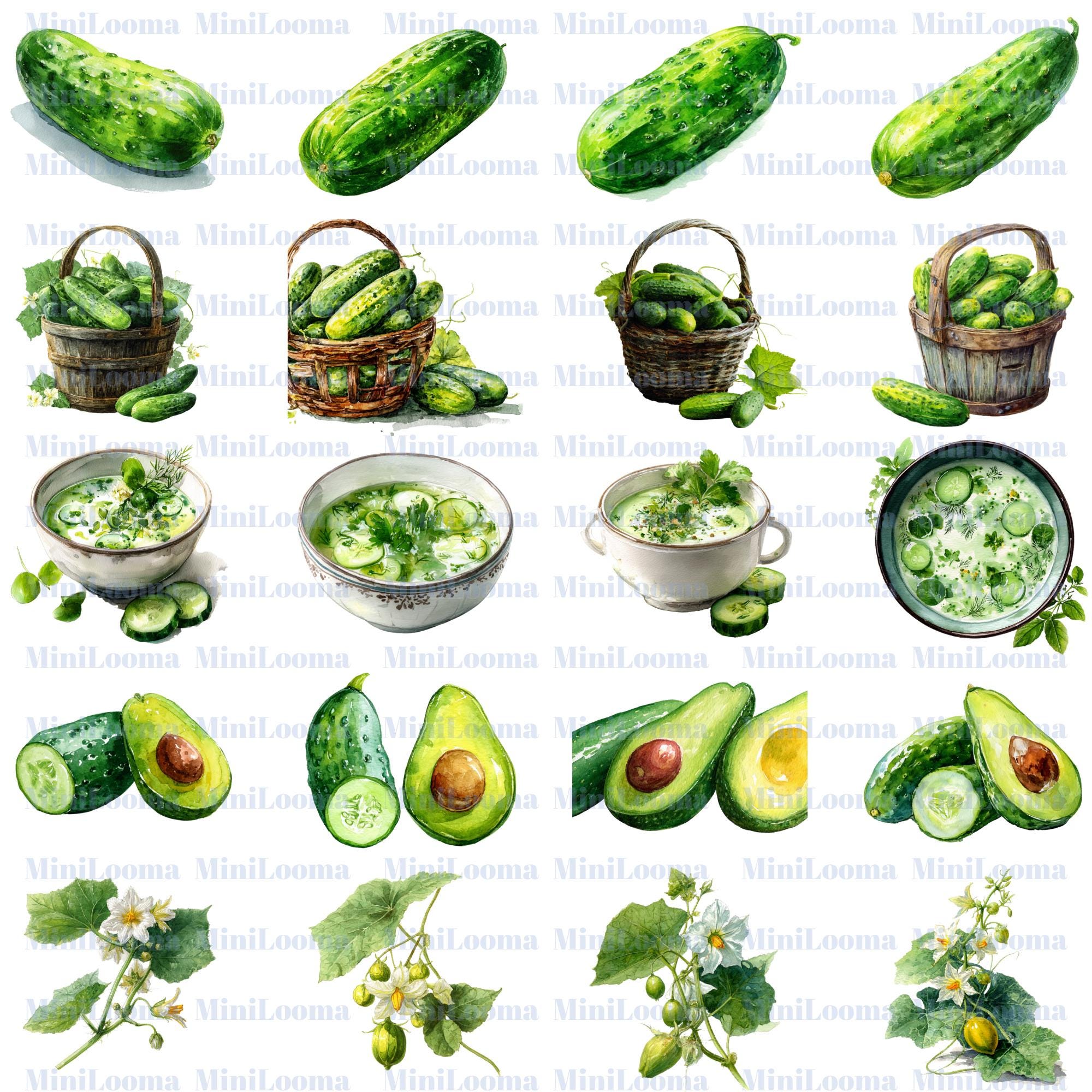 120 Cucumber Watercolor Clipart: Kitchen Art, Recipe Cards (PNG Transparent)