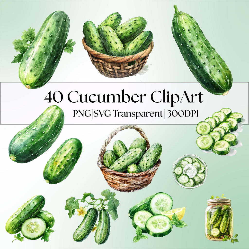 40 Cucumber Clipart Bundle: Watercolor Veggies, Pickle Jar (PNG Transparent)