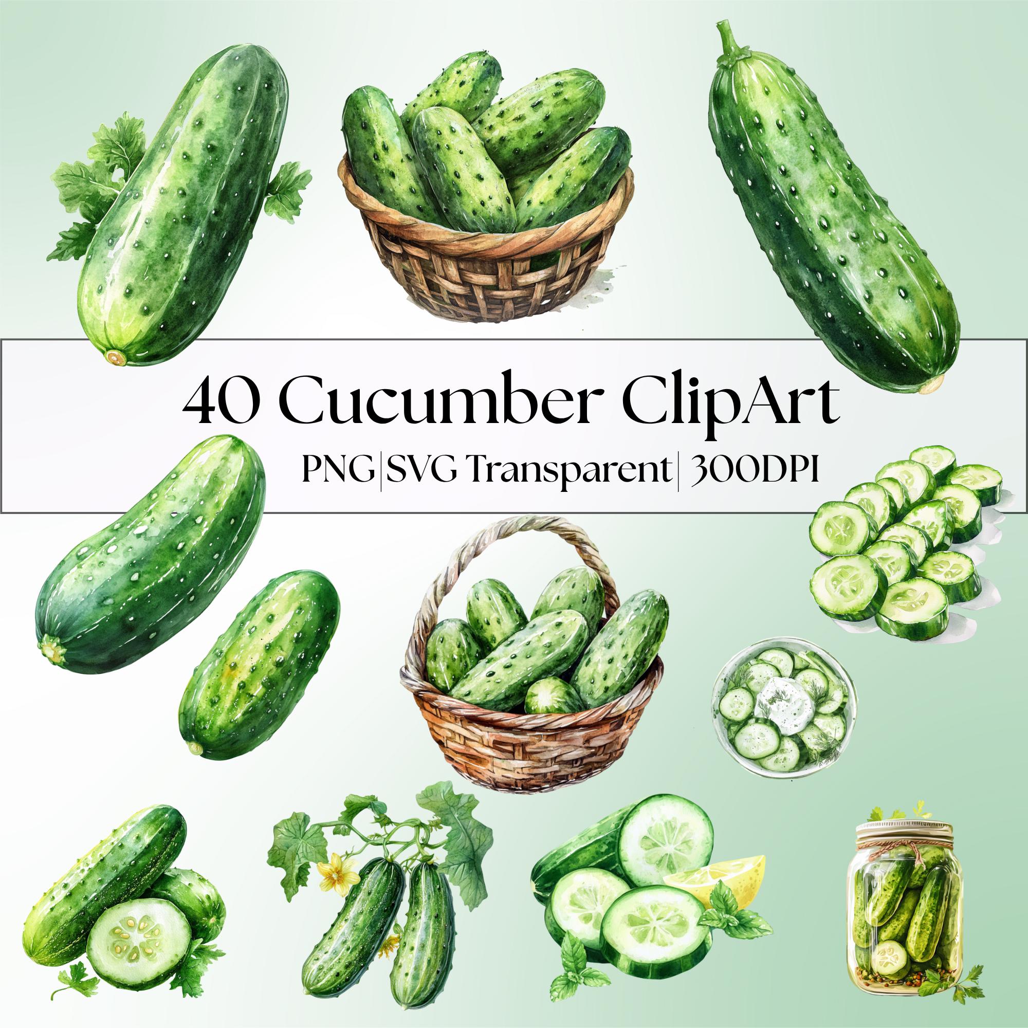 40 Cucumber Clipart Bundle: Watercolor Veggies, Pickle Jar (PNG Transparent)